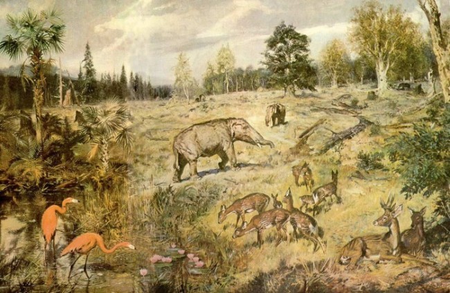 6. Ildizlar qayerda?