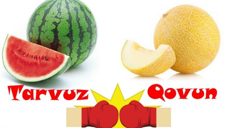 O'ylanmasdan javob bering: tarvuz yoki qovun?