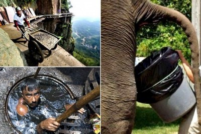 Oson bo'lmagan ishiga noliydigan odamlarning, 17ta ishingiz haqida o'ylashga majbur qiluvchi rasmlar