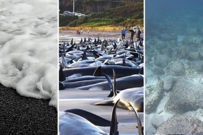 Okean haqida 10ta aql bovar qilmas faktlar, ular mavjudligiga ishonish qiyin.