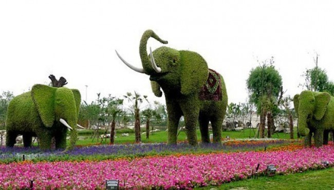 Xitoydagi gullardan yasalgan ajoyib hayvonlar