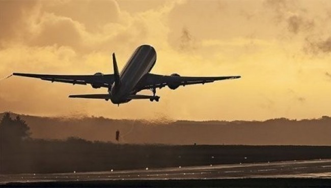 Top-25: Bortkuzatuvchilarning balkim, siz bilmay qolgan sirlari