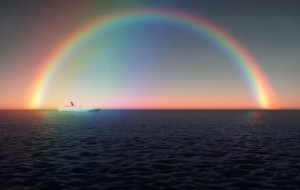 Kamalak haqida 7 ta hayratlanarli faktlar