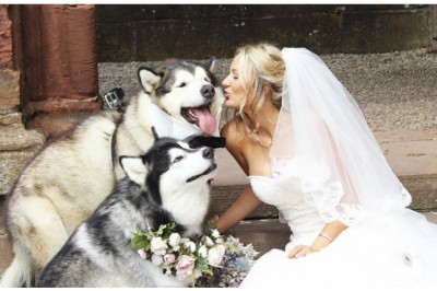 Bu juftlik o'z to'y marosimlari uchun ikki malamutni guvoh qilib tayinladi, hamda ular bu ishni hammadan yaxshi bajardilar