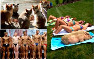 Qiziqarli fotolar: Orasida begona adashib qolgan ajoyib kollektivlar