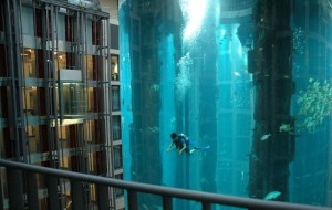 Qiziqarli dunyo: Dunyodagi eng noan’anaviy liftlar