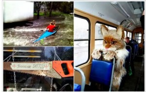 Qiziqarli fotosur'atlar: 