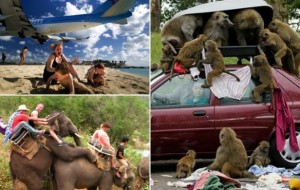 Qiziqarli xazillar: «Oh, yoz!»: Sizni chin dildan kuldiradigan, dam olish paytida suratga olingan 18 ta muvaffaqiyatsiz fotosuratlar