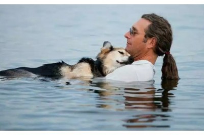 Qiziqarli ma'lumotlar: Uy hayvonini parvarishi haqidagi eng ta'sirchan hikoya