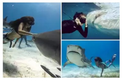 Qiziqarli dunyo: Avstraliyalik qiz 12 yoshidan akulalar bilan birga suzadi