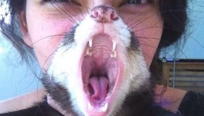 Kerakli payt olingan va chegara ortidan chiqgan sur'atlar  