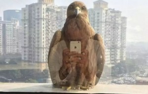 Fotosuratlar: Kerakli lahzalarda olingan fotosuratlar 