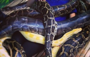 10ta telba kosmetik muolajalar, ular haqida erkaklar bilmagani ma`qul. 