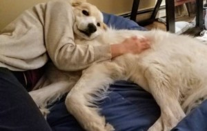 Sizni ikki marta qarashga majbur etadigan g’ayrioddiy suratlar