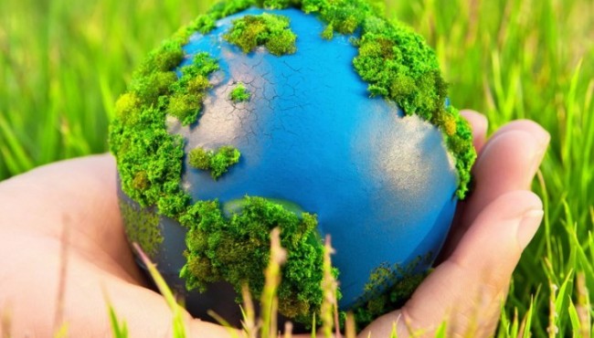 Olimlarni boshi berk ko’chaga olib kirib qo’ygan 6 nafar tabiat jumboqlari  