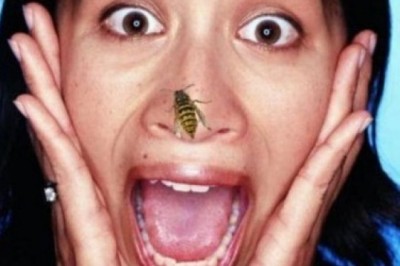 Agar ari chaqib olsa. Ari, asalari, tukli ari yoki qovog‘ari chaqib olgan taqdirda birinchi yordam ko‘rsatish