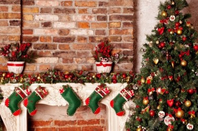 Yangi yil archasi tanlaymiz: tabiiy turi yaxshimi yoki sun'iy?