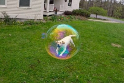 Xolat va Rakurs. Ajoyib suratlar