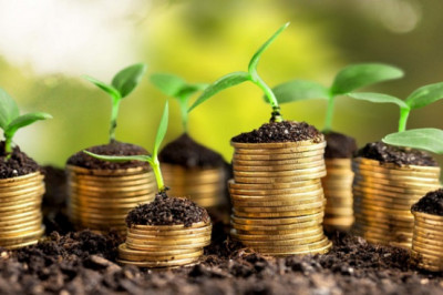 Pul jamg’arishga kirishganlarga  kerakli  7ta tavsiya