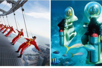 Kattalar uchun dunyodagi eng zo’r ko’ngil ochar mashg’ulotlar