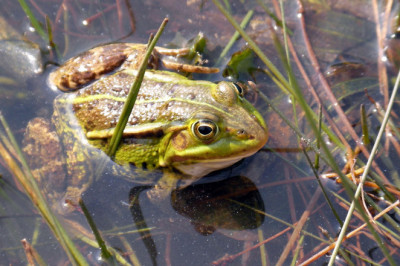 Eng qiziqarli faktlardan namunalar