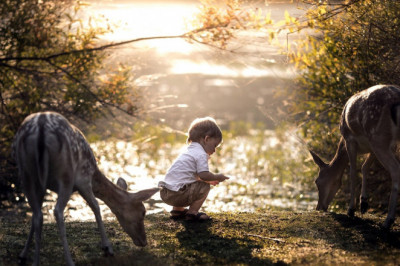Bolalardagi yolg’izlik daholikdan darakmi?