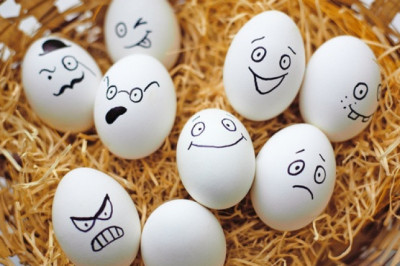 Tuxum haqida 9 qiziqarli fakt