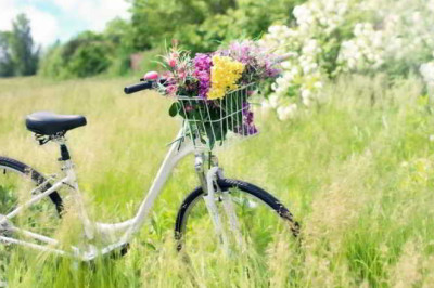 Bahor  fasli haqida qiziqarli ma'lumotlar