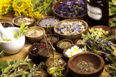 Ziravorlar haqida ko'pchilik bilgan va bilmagan ma'lumotlar