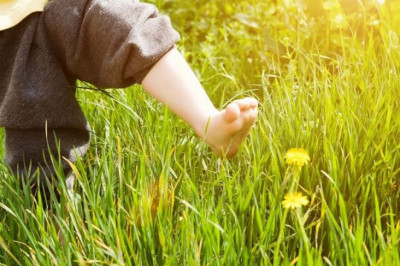 Qiziqarli va ajabtovur faktlar