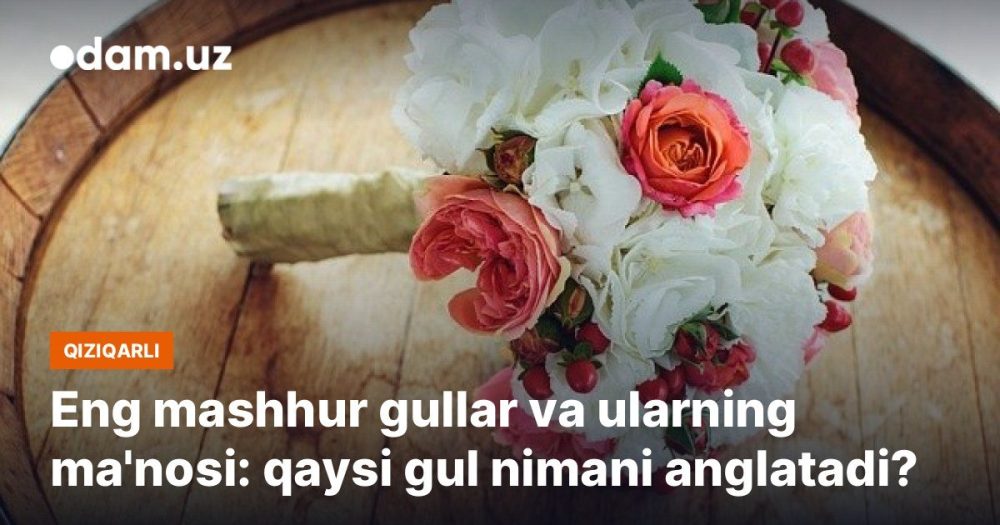 Eng mashhur gullar va ularning ma'nosi: qaysi gul nimani anglatadi?
