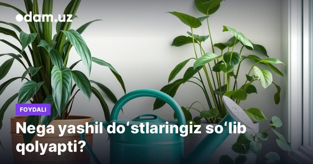 Nega yashil doʻstlaringiz soʻlib qolyapti?