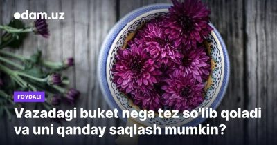 Vazadagi buket nega tez so'lib qoladi va uni qanday saqlash mumkin?
