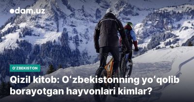 Qizil kitob: Oʻzbekistonning yoʻqolib borayotgan hayvonlari kimlar?