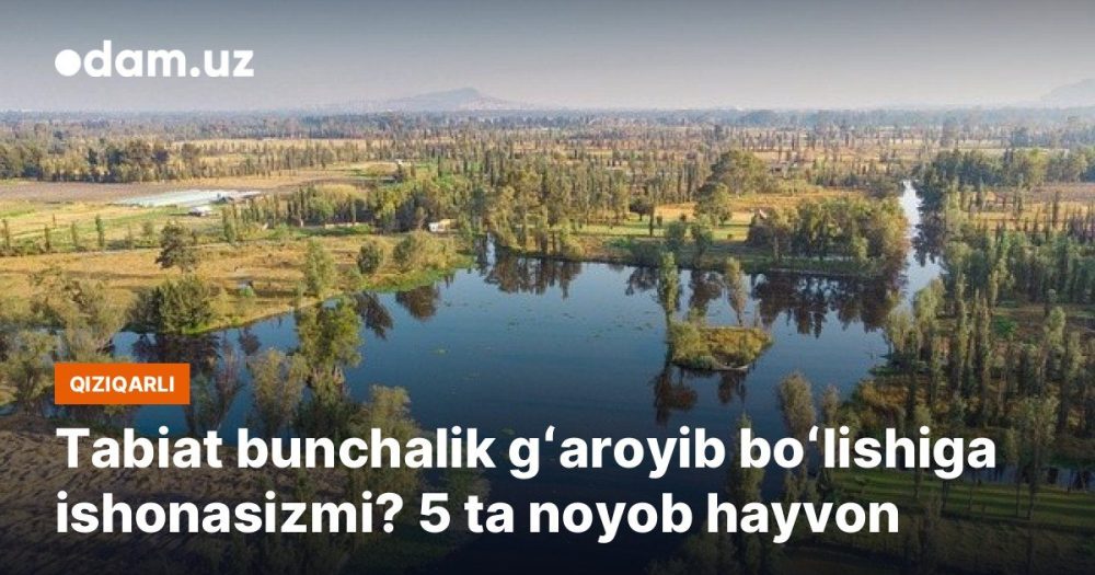 Tabiat bunchalik gʻaroyib boʻlishiga ishonasizmi? 5 ta noyob hayvon