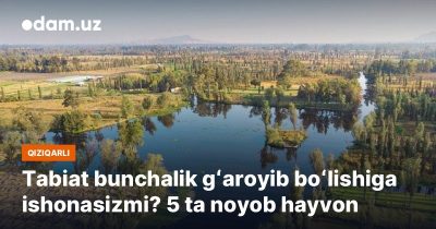 Tabiat bunchalik gʻaroyib boʻlishiga ishonasizmi? 5 ta noyob hayvon